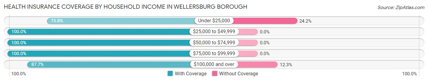 Health Insurance Coverage by Household Income in Wellersburg borough