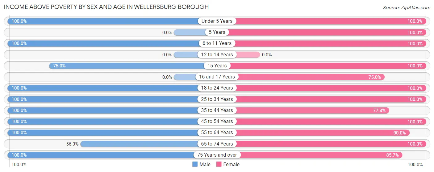 Income Above Poverty by Sex and Age in Wellersburg borough