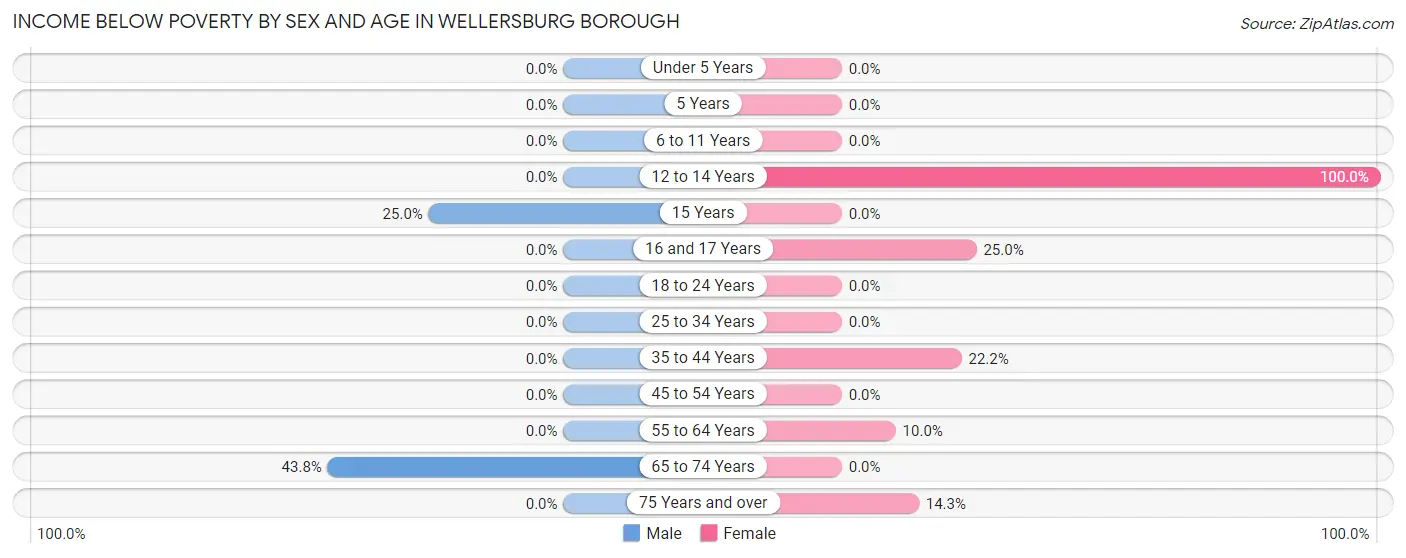 Income Below Poverty by Sex and Age in Wellersburg borough