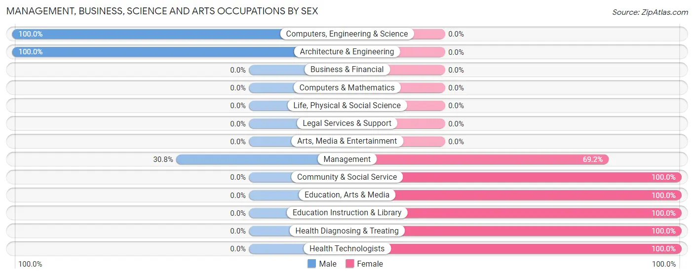 Management, Business, Science and Arts Occupations by Sex in Wellersburg borough