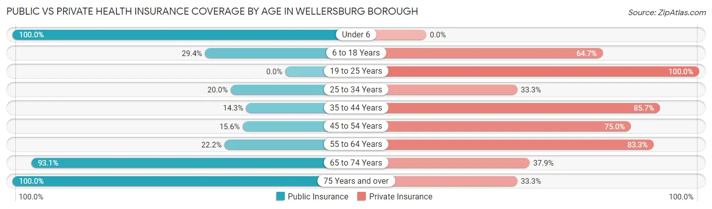 Public vs Private Health Insurance Coverage by Age in Wellersburg borough
