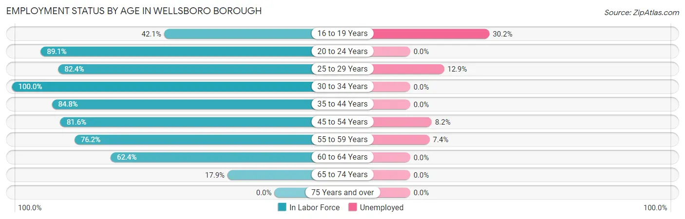 Employment Status by Age in Wellsboro borough