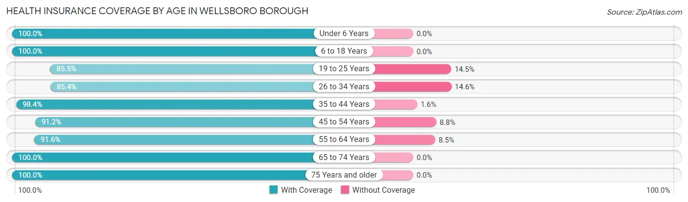 Health Insurance Coverage by Age in Wellsboro borough