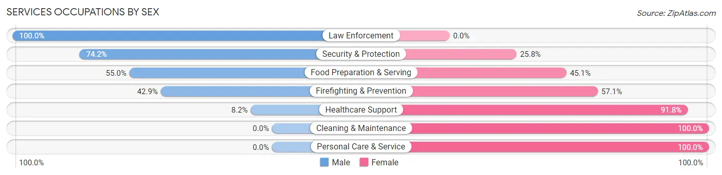 Services Occupations by Sex in Wellsboro borough