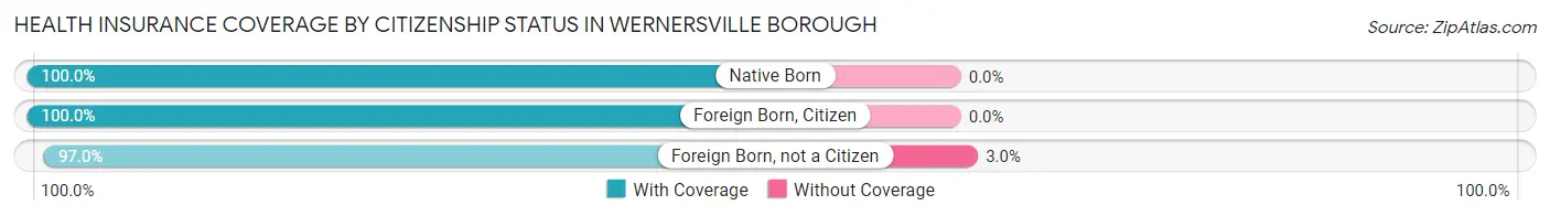 Health Insurance Coverage by Citizenship Status in Wernersville borough