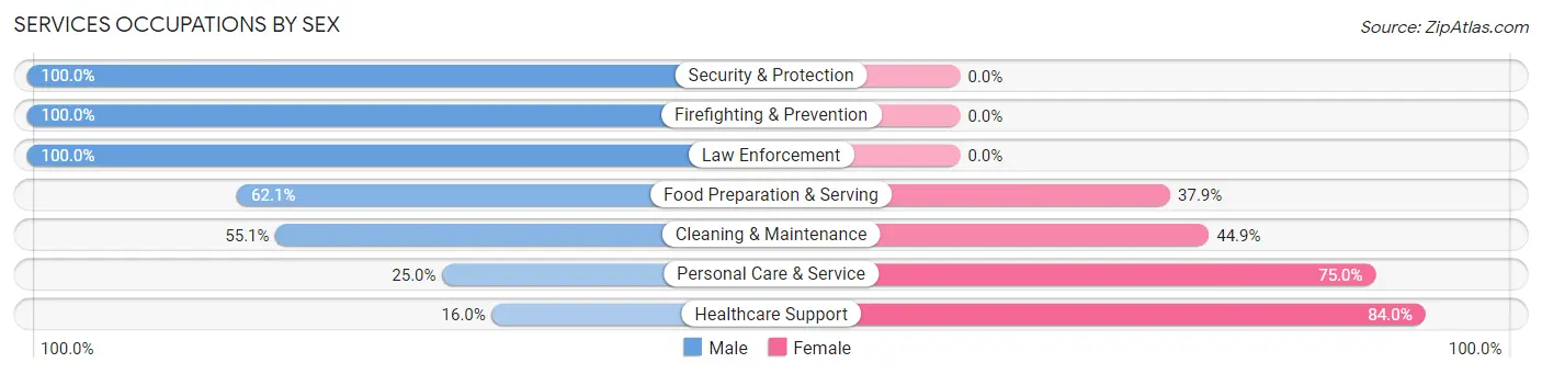 Services Occupations by Sex in Wernersville borough