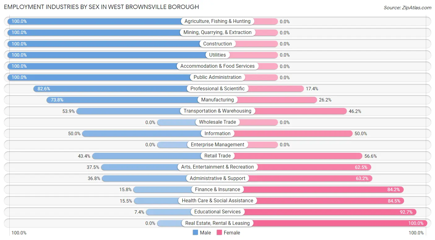 Employment Industries by Sex in West Brownsville borough