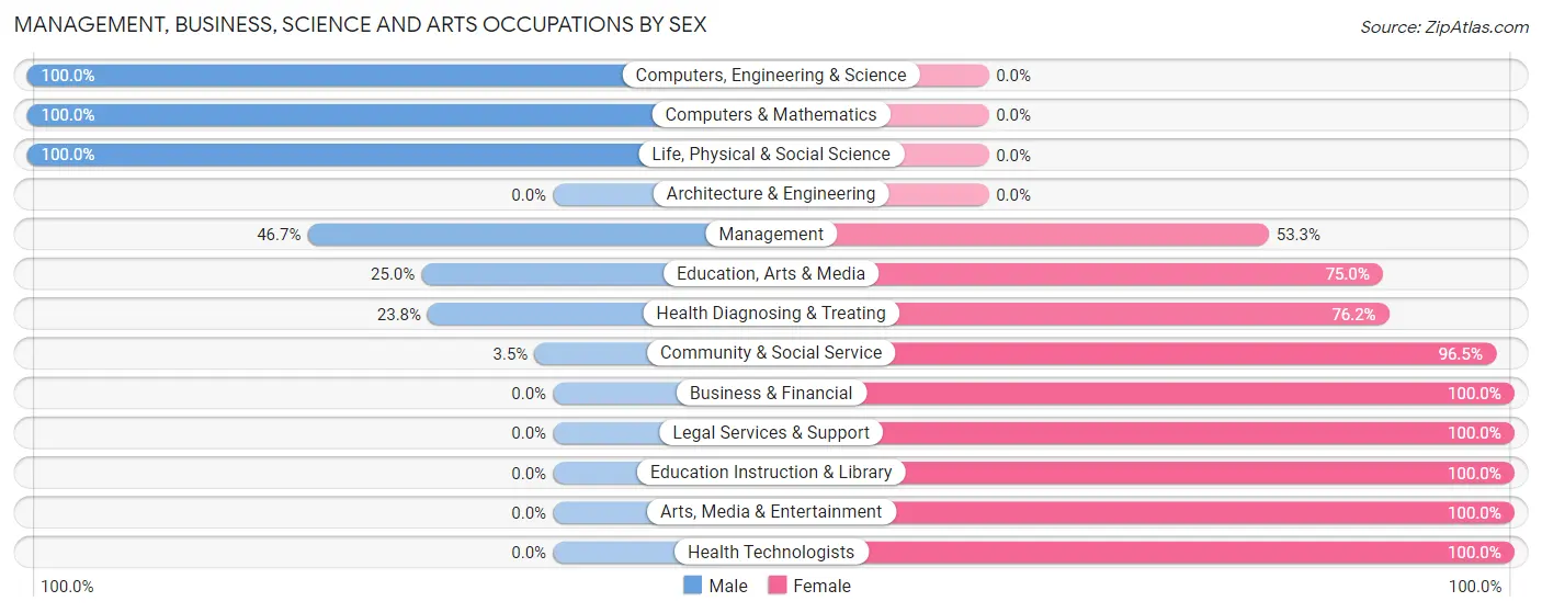 Management, Business, Science and Arts Occupations by Sex in West Brownsville borough