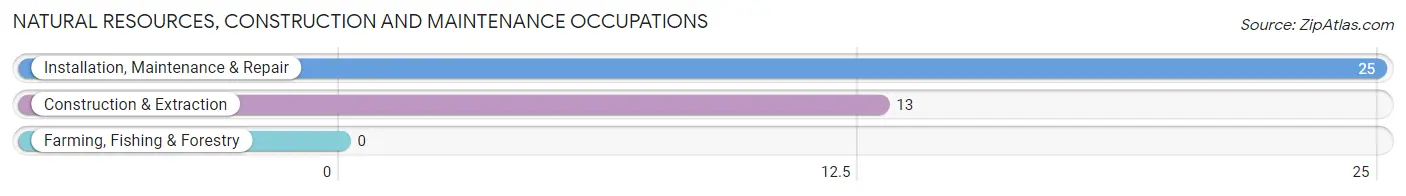 Natural Resources, Construction and Maintenance Occupations in West Conshohocken borough