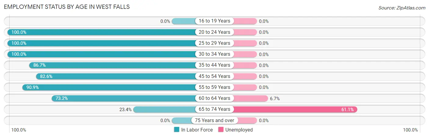 Employment Status by Age in West Falls