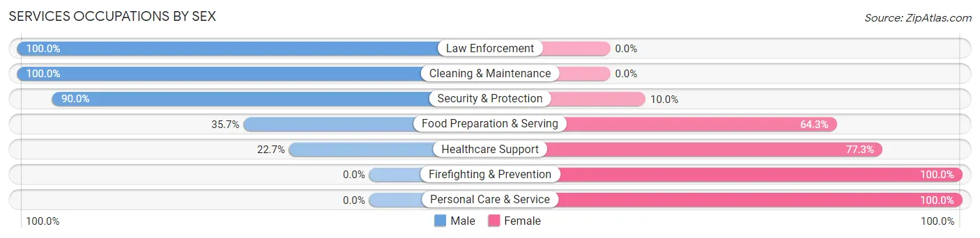 Services Occupations by Sex in West Kittanning borough