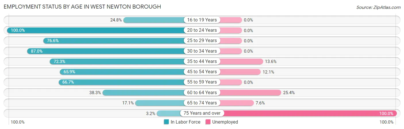 Employment Status by Age in West Newton borough