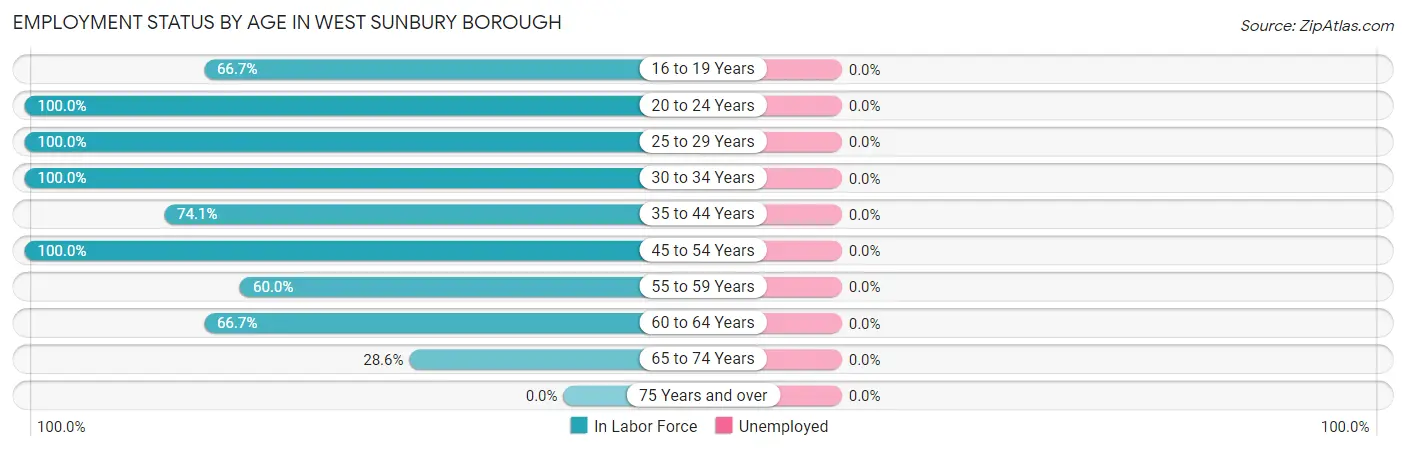 Employment Status by Age in West Sunbury borough