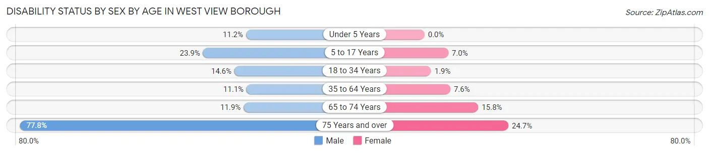 Disability Status by Sex by Age in West View borough