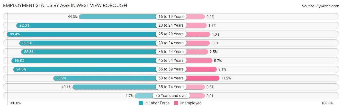Employment Status by Age in West View borough
