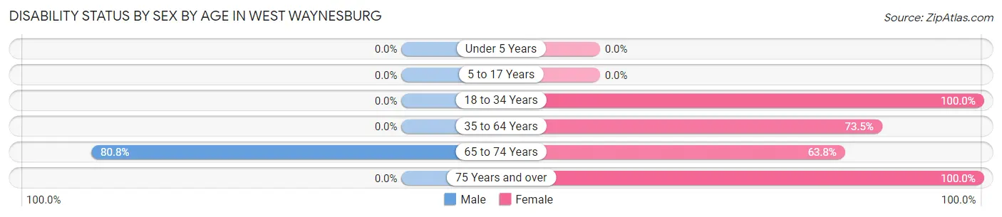Disability Status by Sex by Age in West Waynesburg