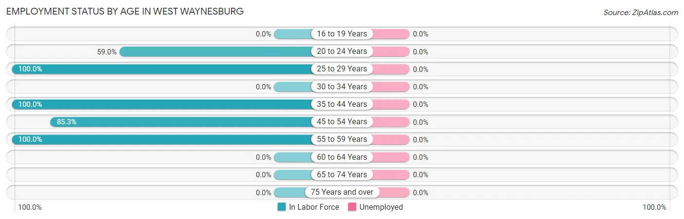 Employment Status by Age in West Waynesburg