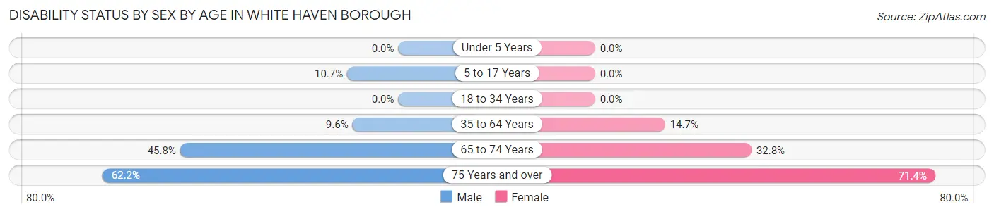 Disability Status by Sex by Age in White Haven borough