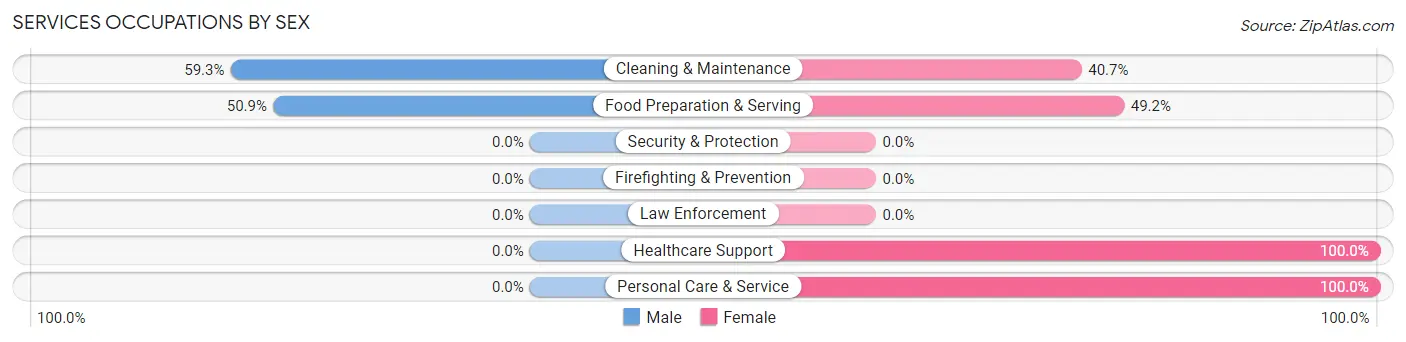 Services Occupations by Sex in White Haven borough