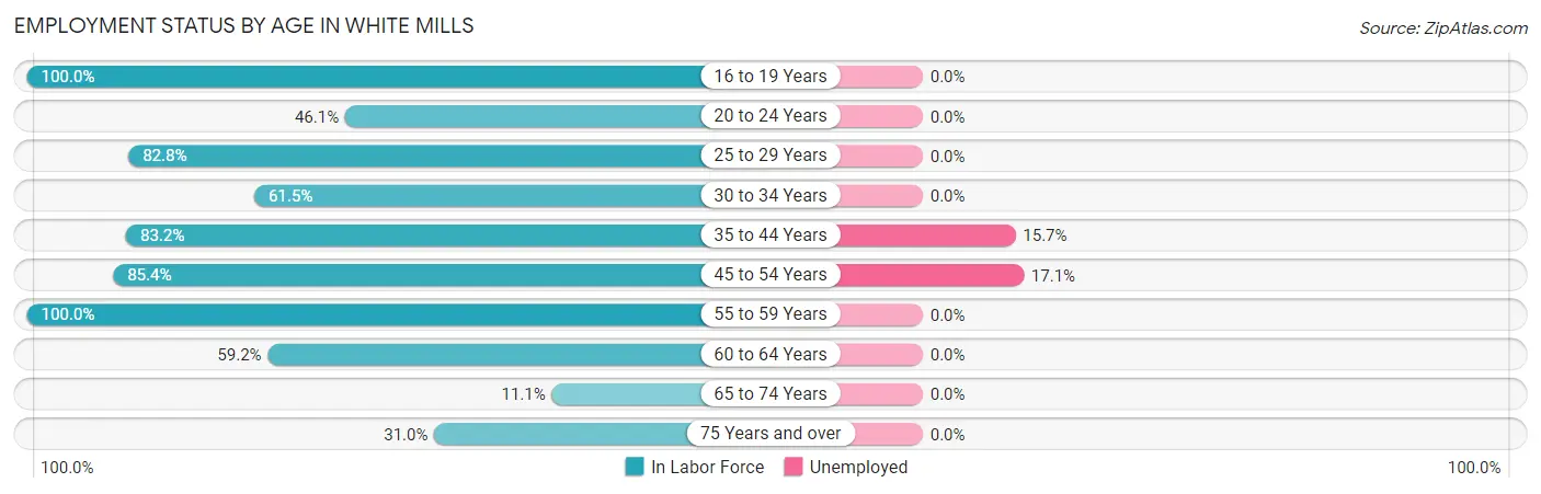 Employment Status by Age in White Mills