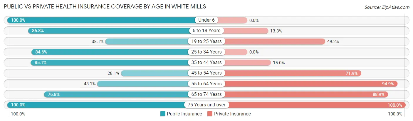 Public vs Private Health Insurance Coverage by Age in White Mills