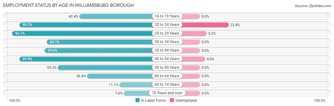 Employment Status by Age in Williamsburg borough