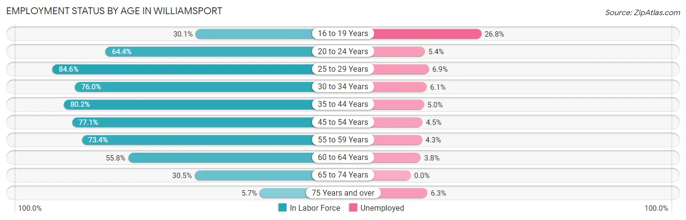 Employment Status by Age in Williamsport