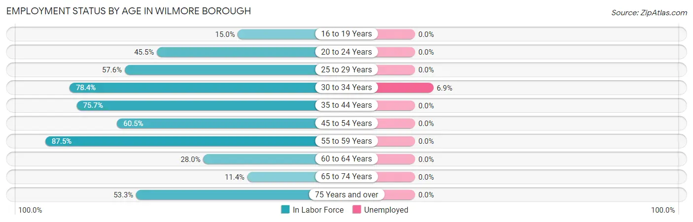 Employment Status by Age in Wilmore borough
