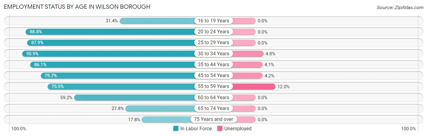 Employment Status by Age in Wilson borough