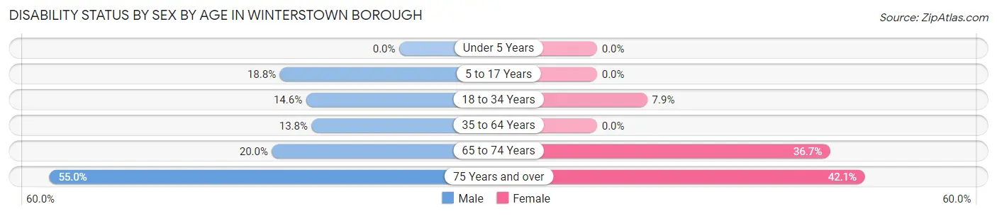 Disability Status by Sex by Age in Winterstown borough