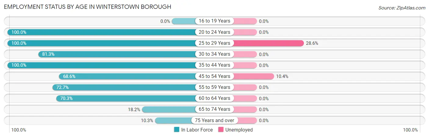 Employment Status by Age in Winterstown borough