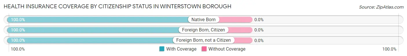 Health Insurance Coverage by Citizenship Status in Winterstown borough