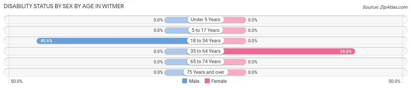 Disability Status by Sex by Age in Witmer