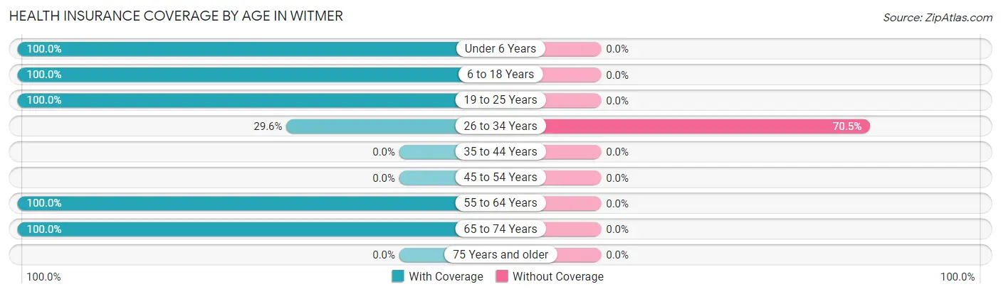 Health Insurance Coverage by Age in Witmer