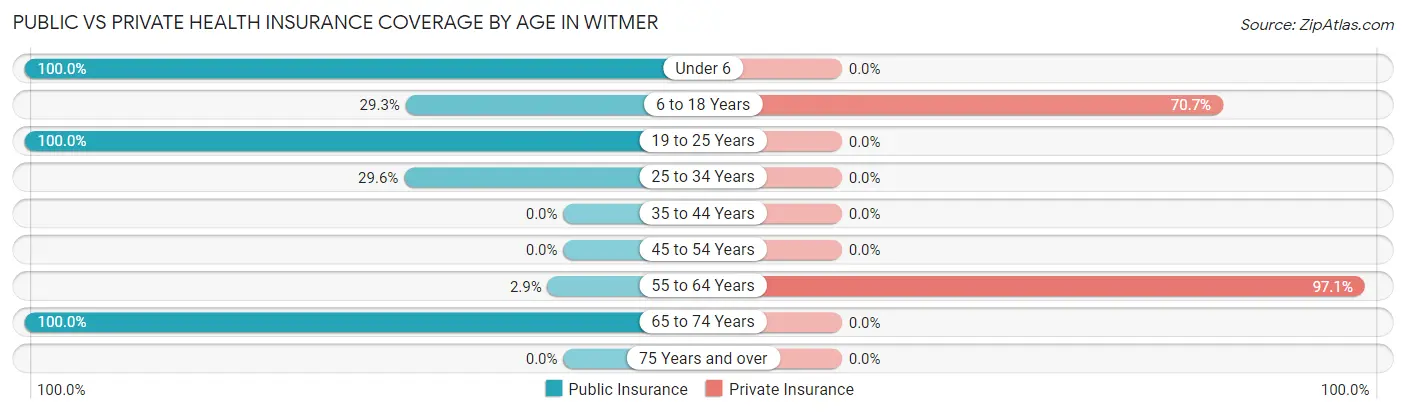 Public vs Private Health Insurance Coverage by Age in Witmer