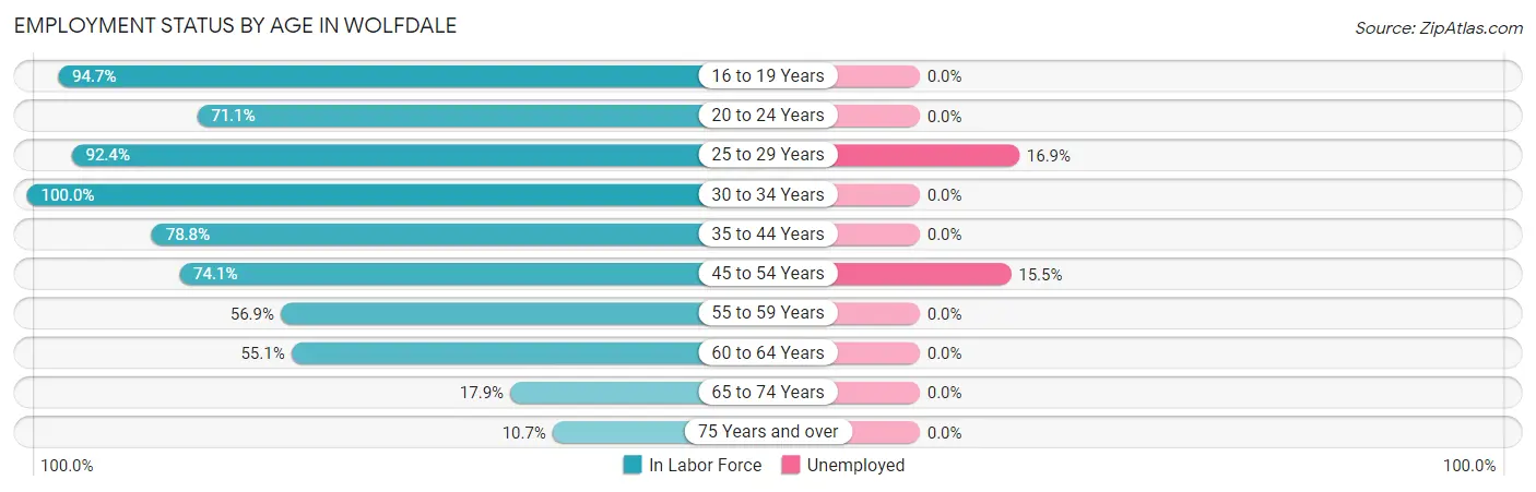 Employment Status by Age in Wolfdale