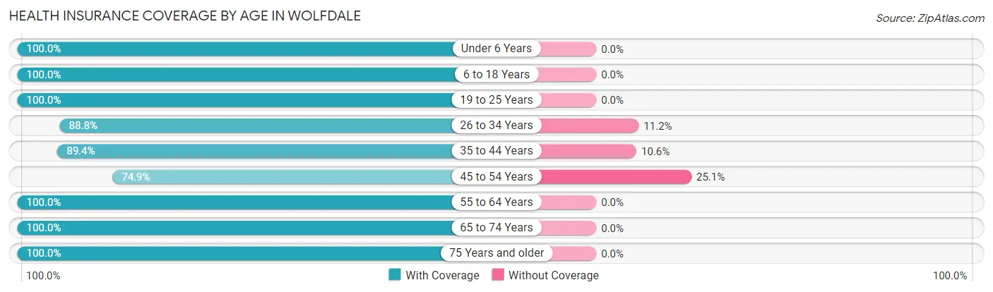 Health Insurance Coverage by Age in Wolfdale