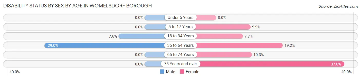 Disability Status by Sex by Age in Womelsdorf borough