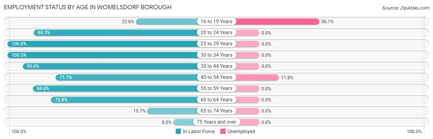 Employment Status by Age in Womelsdorf borough