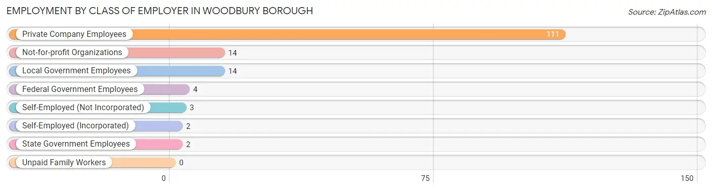 Employment by Class of Employer in Woodbury borough