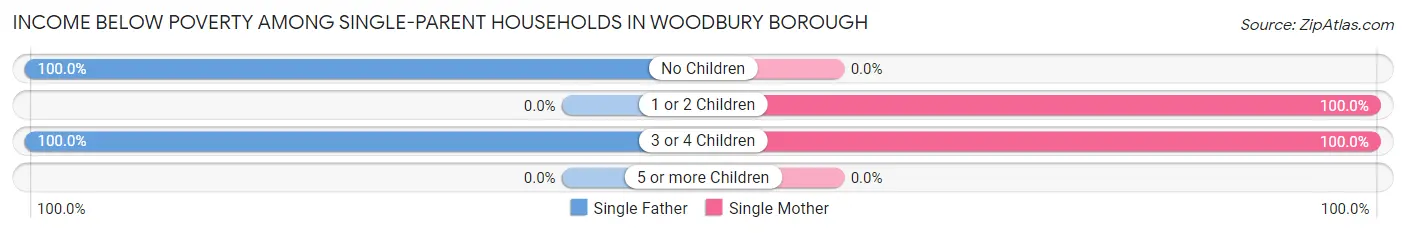 Income Below Poverty Among Single-Parent Households in Woodbury borough