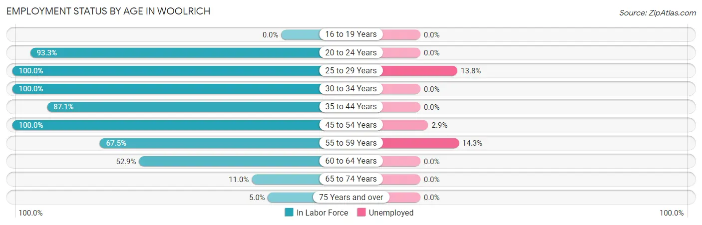 Employment Status by Age in Woolrich