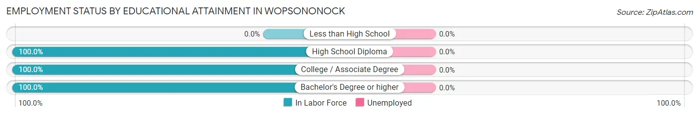 Employment Status by Educational Attainment in Wopsononock