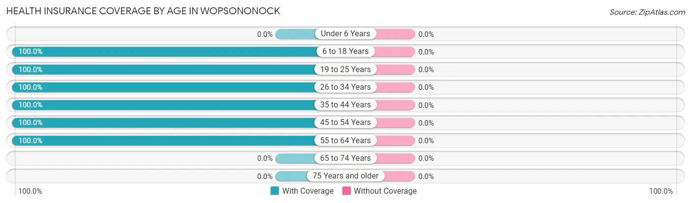Health Insurance Coverage by Age in Wopsononock