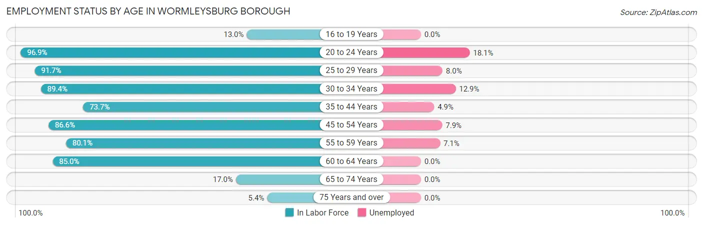 Employment Status by Age in Wormleysburg borough