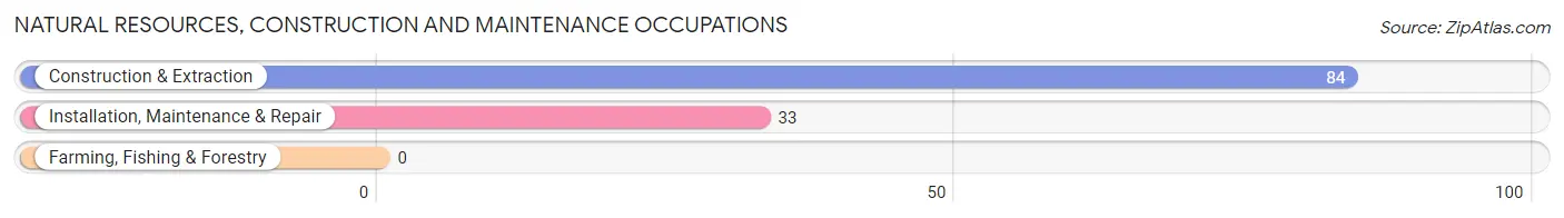 Natural Resources, Construction and Maintenance Occupations in Wrightsville borough