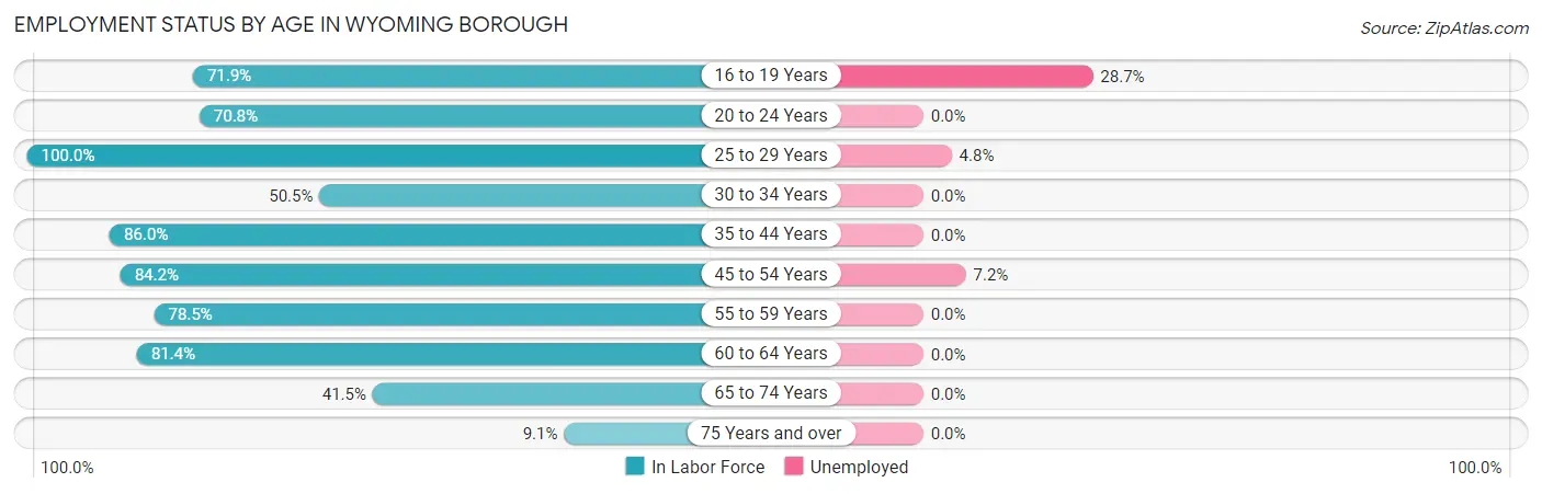 Employment Status by Age in Wyoming borough