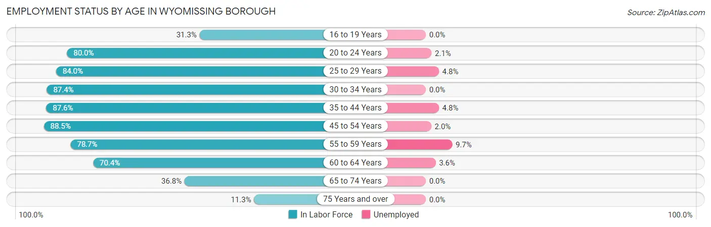 Employment Status by Age in Wyomissing borough