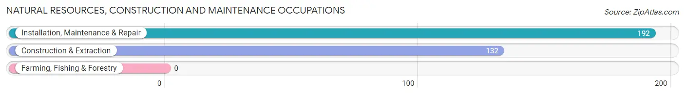 Natural Resources, Construction and Maintenance Occupations in Yeadon borough