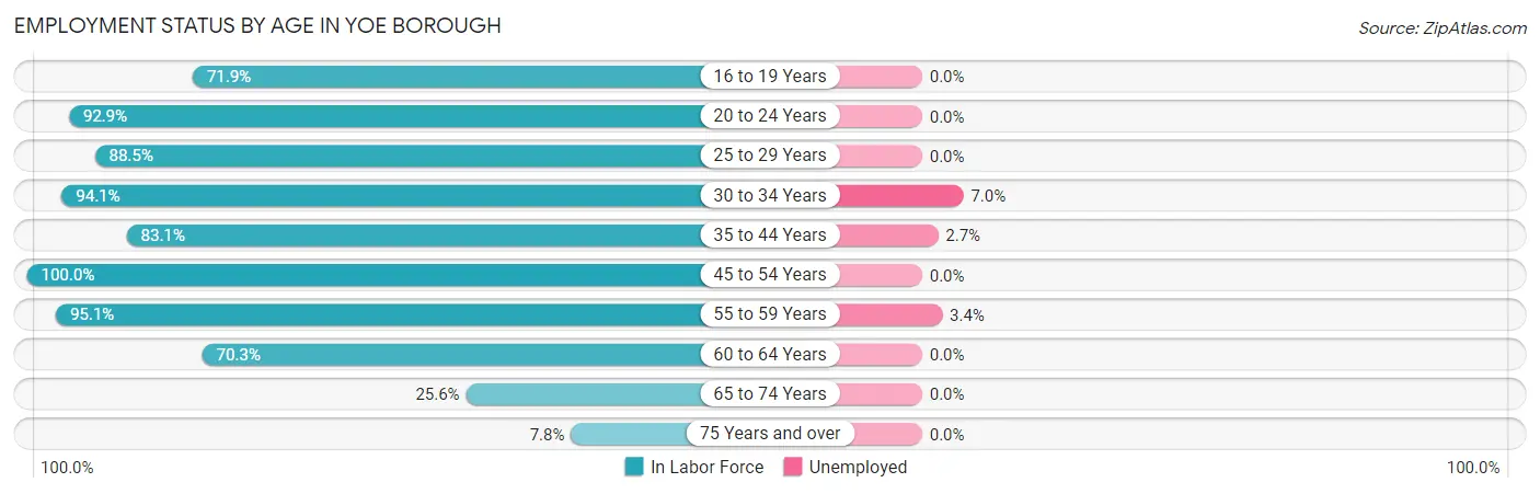 Employment Status by Age in Yoe borough